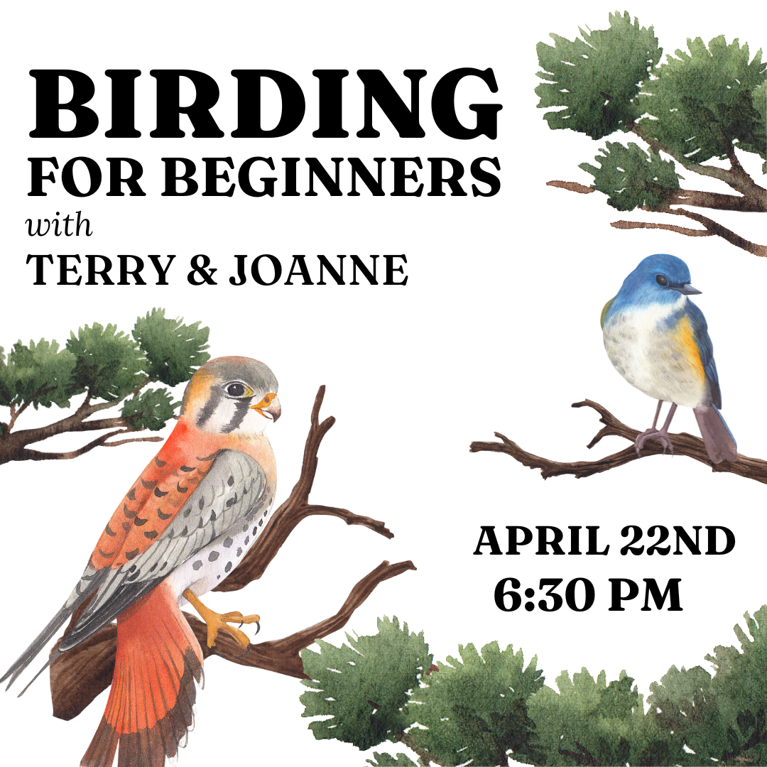 Birding newsflash 2025-04