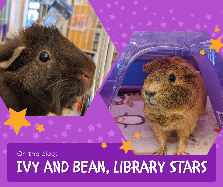 Ivy and Bean: Library Stars