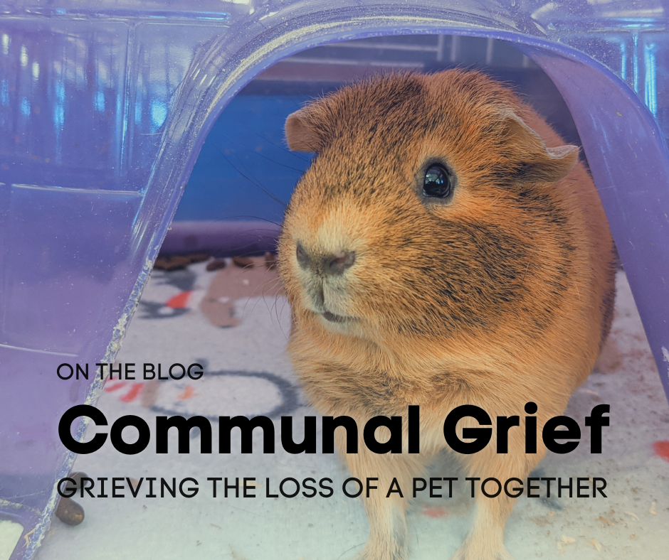 communal grief