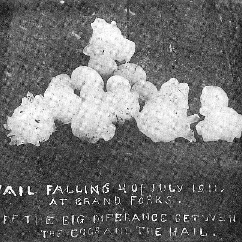 hail-cropped