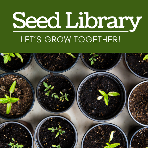 Seed Library