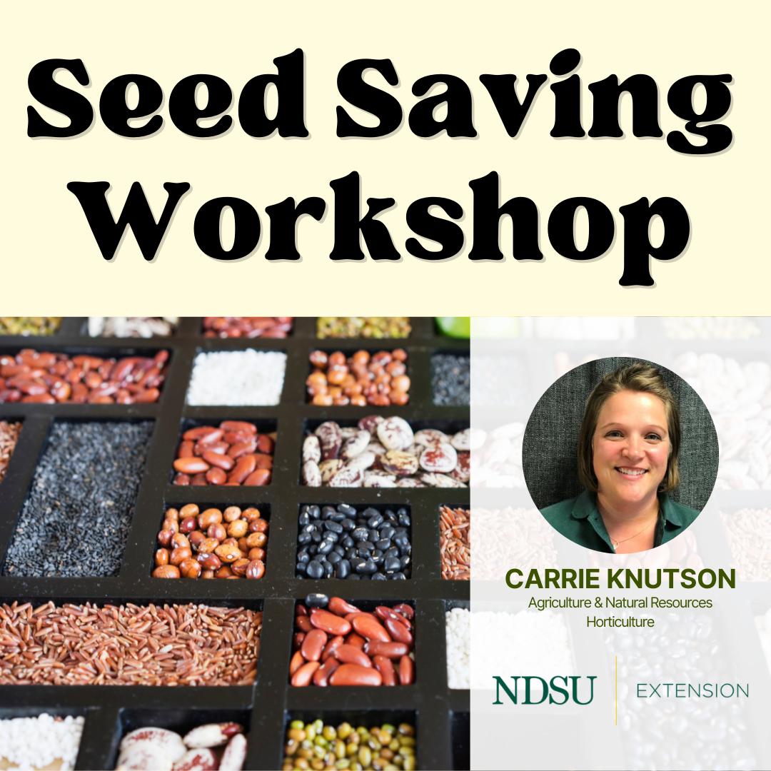 Seed Saving Workshop